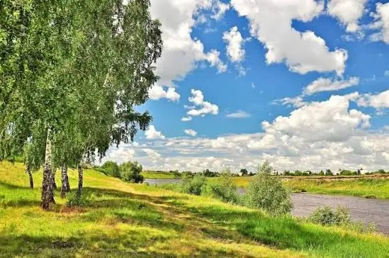 Ты мне дорог, ты родной, с покалеченной душой. Ты мне близок и понятен, и твой путь по мне приятен. Мы похожи чем то чуть. Только ты не обессуть. Если взять друг друга в руки, мир мы сможем и прогнуть | Сетка — социальная сеть от hh.ru