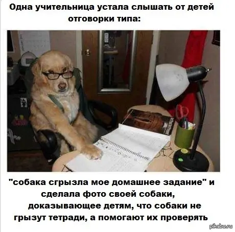 Знаете, коллеги, о чем мы тут задумались...
У вас были учителя в школе. Были разные: те, которых сейчас даже не вспомнить. Были плохие учителя. Но были и хорошие | Сетка — социальная сеть от hh.ru