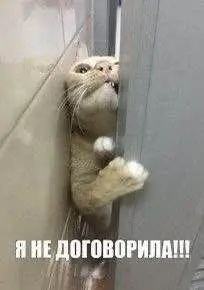 А я ведь не договорила... Завершаем наш «Карьерный интенсив»! + 2 бонуса
Знаете это чувство, когда после важного разговора вспоминаешь: «Ах, ведь я не сказала самого главного!»? Вот и у меня так | Сетка — социальная сеть от hh.ru