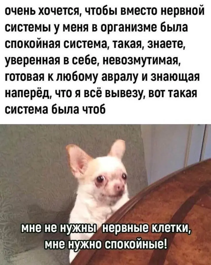 Согласны! | Сетка — социальная сеть от hh.ru