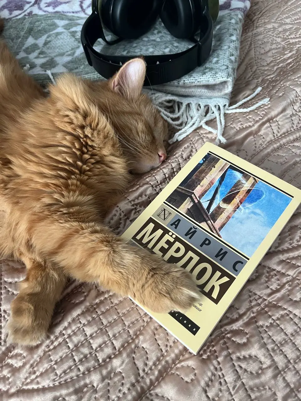 🤩 «Колокол» Айрис Мёрдок: с первых страниц — динамичный сюжет, интересные герои и тайна
вот-вот что произойдет и это напряжение так интригует 🤩
аннотация
Одно из самых значимых произведений Мёрдок, за... | Сетка — социальная сеть от hh.ru