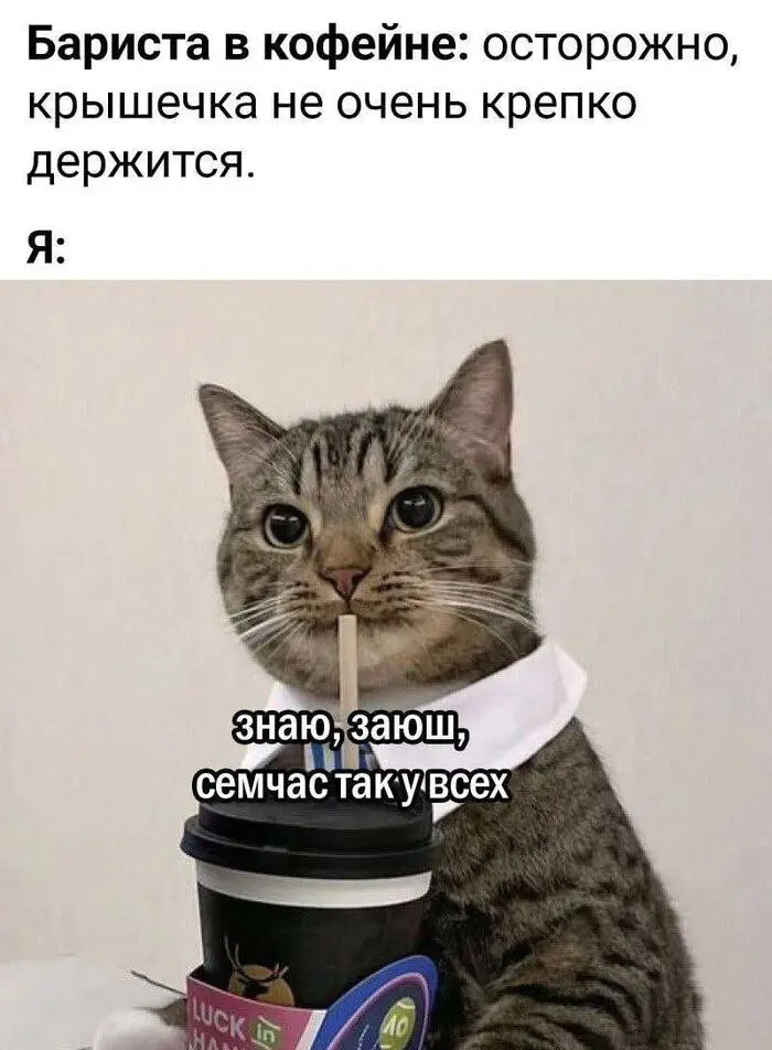 Вы платите не за кофе. Вы платите за график уборки санузла | Сетка — социальная сеть от hh.ru