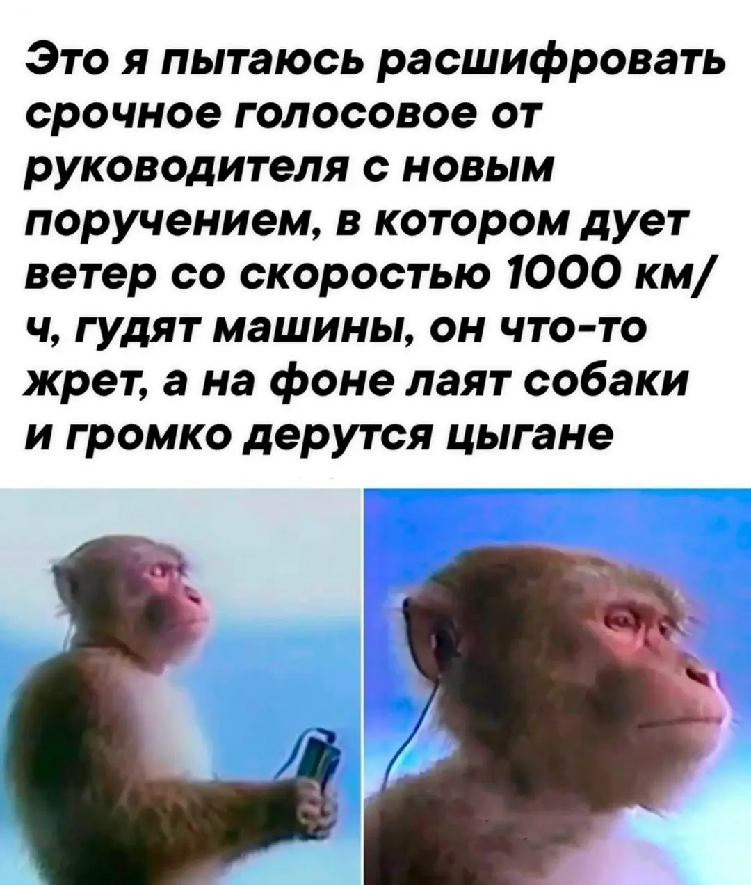 Мемотерапия 😁
Среда — маленькая пятница, осталось совсем чуток работать, так что вот вам мемы для поддержки настроя))
Январь традиционно месяц сложный, голова тяжёлая, задач много, солнце где-то там в... | Сетка — социальная сеть от hh.ru