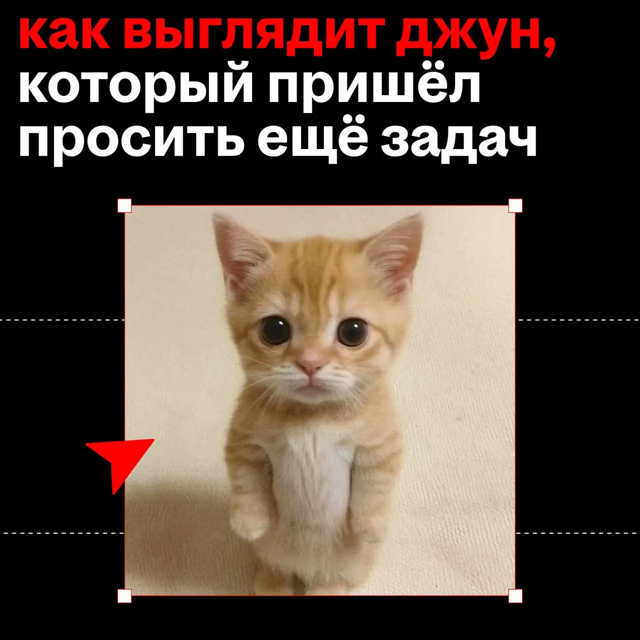 🐣 — вот так мы видим джунов, которые только пришли в нашу команду
🦅 — а вот они всего через пару месяцев
на наш взгляд, джуну главное перерасти свою маленьковость
для этого нужно как можно больше рисо... | Сетка — социальная сеть от hh.ru