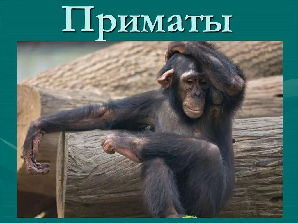 НЕУДОБНАЯ ПРАВДА О ВАШЕЙ КОМАНДЕ
Сейчас я скажу вам то, что вы не хотите слышать.
Все надеются узнать секрет. Секрет, как создать ту самую команду мечты | Сетка — социальная сеть от hh.ru