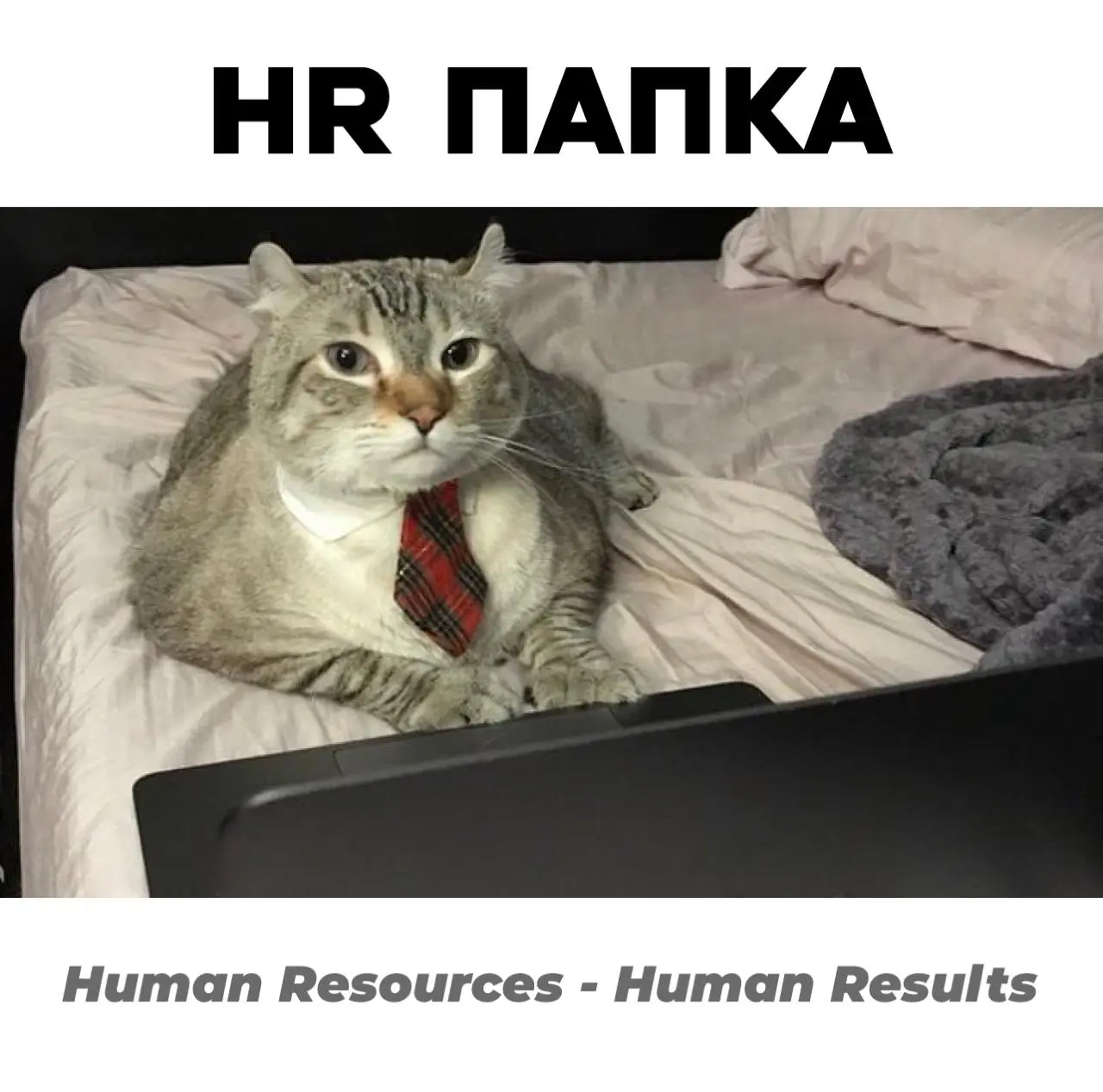 Полезная рубрика: знакомство с каналами для HR и руководителей
В этой подборке — авторы, которые много лет работают с командами и людьми и делятся своим реальным опытом | Сетка — социальная сеть от hh.ru