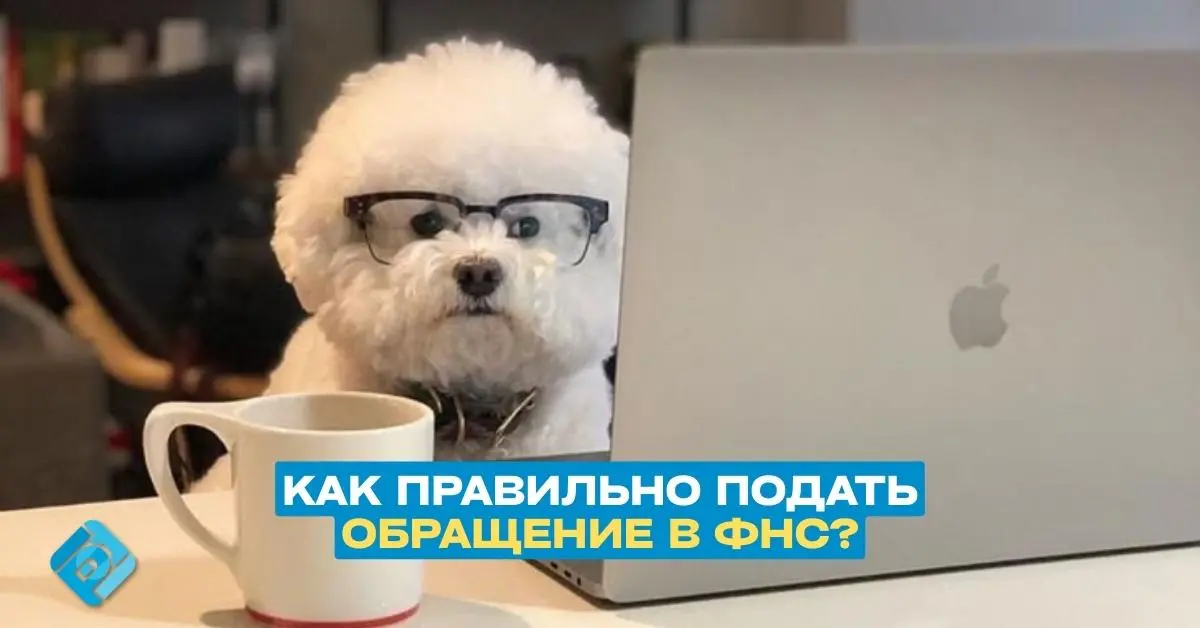 ✉️ Где и как посмотреть ответ налоговой на своё обращение в 2026 году
Личный кабинет налогоплательщика — самый удобный способ общаться с ФНС и получать официальные ответы
Как отправить обращение:
1️⃣ ... | Сетка — социальная сеть от hh.ru