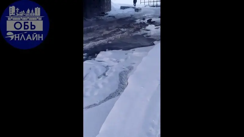 ↗ Уважаемая администрация, поясните, пожалуйста, от куда в -25 градусов в р.Власиха горячие источники?
За два месяца уже второй раз.
При первом обращении обещали разобраться.
vk | Сетка — социальная сеть от hh.ru