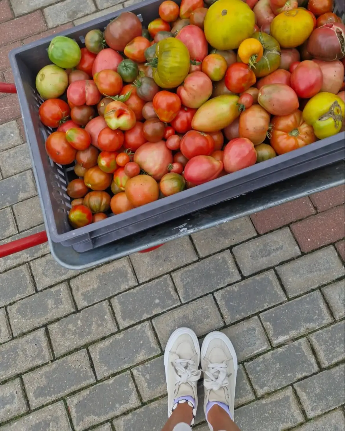 Недавно прочитала в обсуждении между бизнесами: нас давят налогами -\> мы поднимаем цены -\> покупатель никуда не денется, привыкнет и будет платить по новому прайсу  
Человек эгоцентричен, я вс... | Сетка — социальная сеть от hh.ru