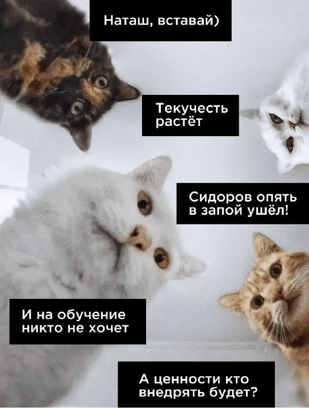 🛍🛍🛍🛍Каналы про HR и работу с командой
Собрали в одной папке экспертов, которые много лет работают с командами и делятся своим реальным опытом: от найма и адаптации до развития команд, мотивации и лиде... | Сетка — социальная сеть от hh.ru