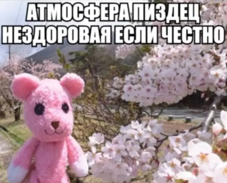 Как молодому специалисту найти работу в 2026? | Сетка — социальная сеть от hh.ru