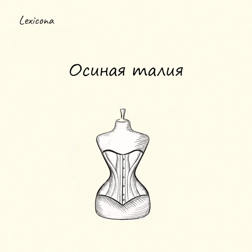 Осиная талия
Это выражение описывает женскую фигуру с узкой талией, плавно переходящей от груди к бёдрам. В классической моде такой силуэт называют «песочные часы» | Сетка — социальная сеть от hh.ru