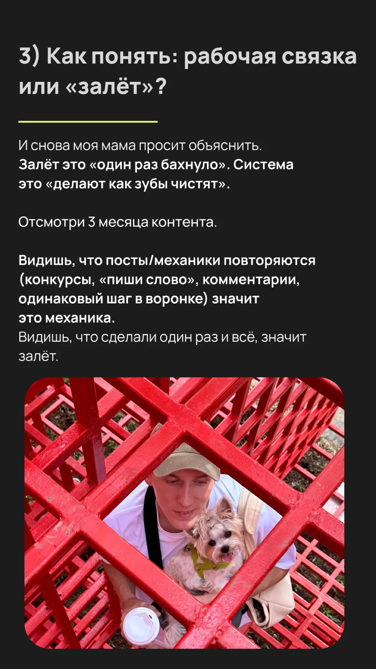 Спишь? А я тут тестирую время для публикаций контента | Сетка — социальная сеть от hh.ru