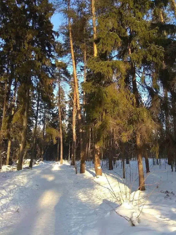 🌳Ольгинский лесопарк
«Ольгинский лесопарк» — это парк, который сочетает в себе оборудованную зону с детскими площадками, воркаутом, дорожками для бега и прогулок
Площадь Ольгинского лесопарка составля... | Сетка — социальная сеть от hh.ru
