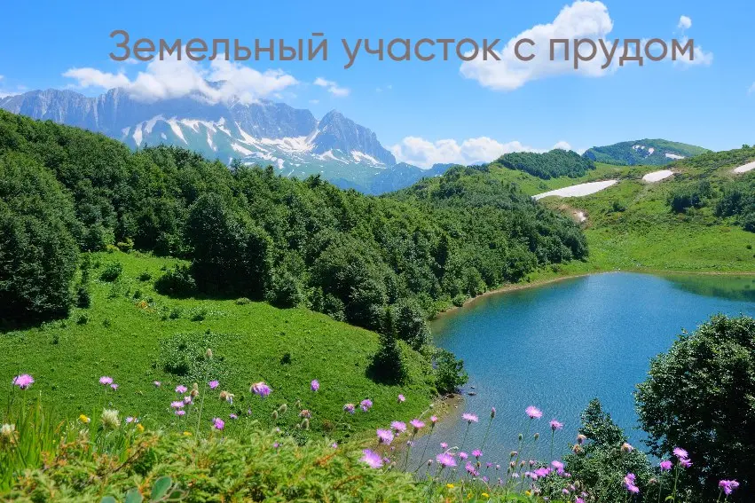 ‼️НОВОЕ ПРЕДЛОЖЕНИЕ‼️
Земельный участок 4,7 га с оформленным ПРУДОМ
💰Цена: 17 000 000 ₽
Краснодарский край, Апшеронский район (125 км от Краснодара)
Участок расположен вдоль строящейся трассы Чернигов... | Сетка — социальная сеть от hh.ru