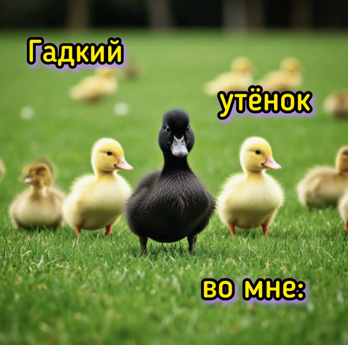 Гадкий утёнок во мне: | Сетка — социальная сеть от hh.ru