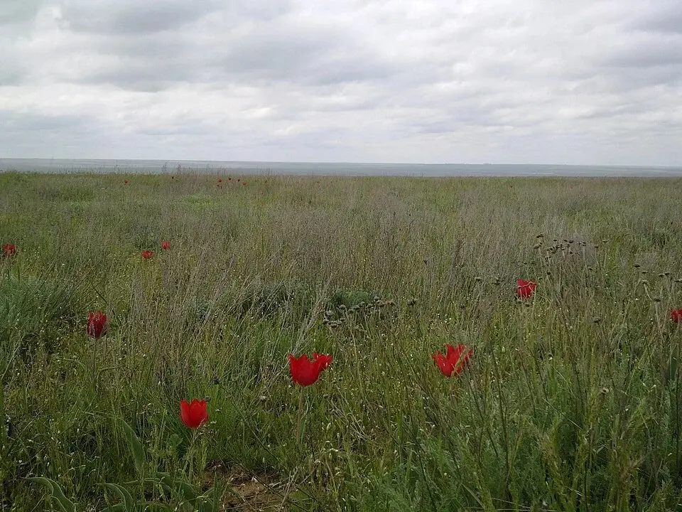 В Республике Калмыкия 18 февраля объявлен нерабочим праздничным днём в честь национального праздника Цаган Сар — даты окончания зимнего и начала весеннего сезона | Сетка — социальная сеть от hh.ru