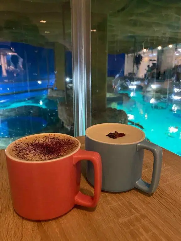 ☕️В Москвариуме на ВДНХ можно заглянуть в кафе с живыми акулами
В зале «Шоколадницы» есть панорамный вид на аквариум: прямо за столиками проплывают акулы, скаты, морские рыбы и черепахи | Сетка — социальная сеть от hh.ru