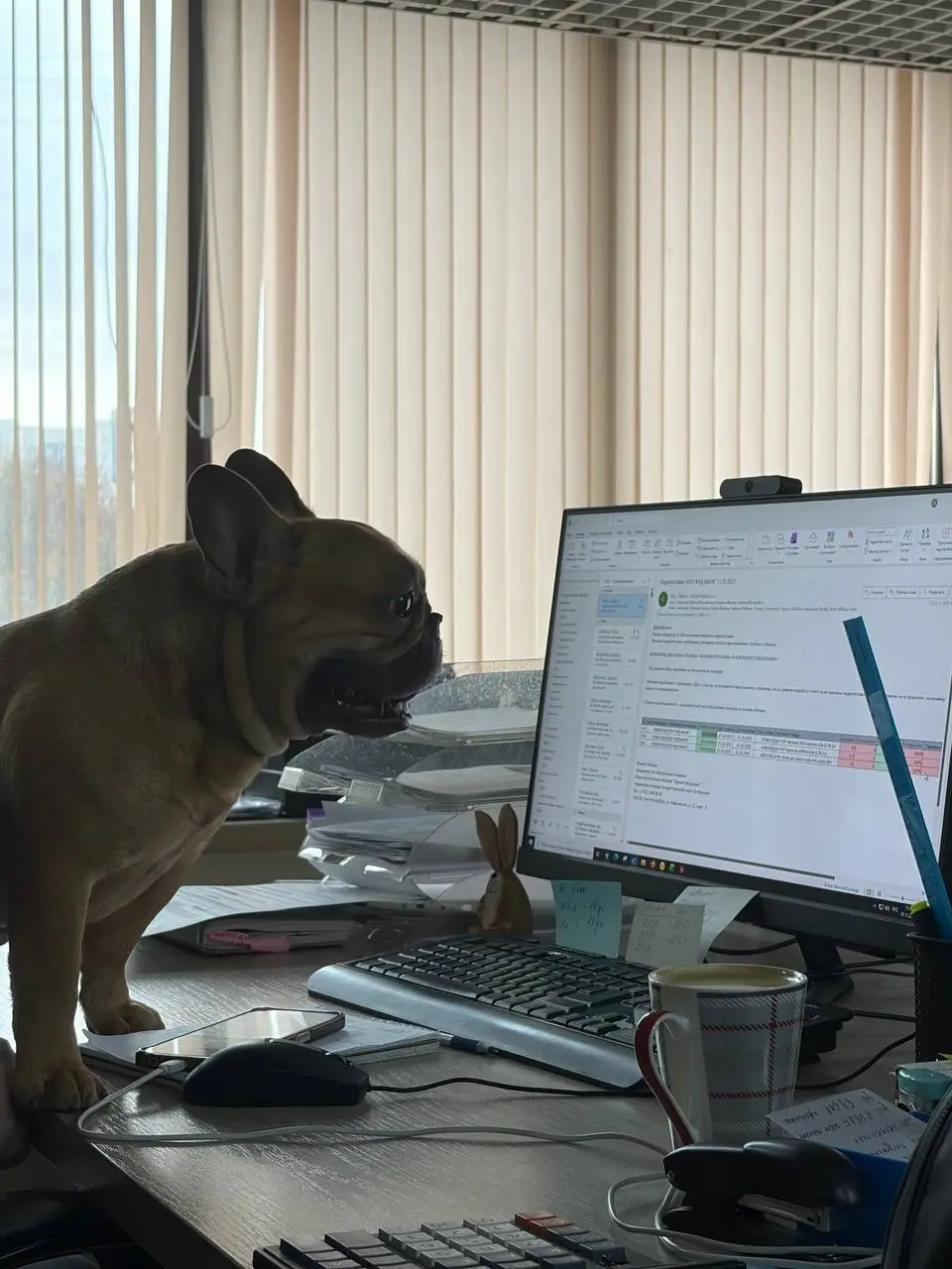 🧃 Иногда самый адекватный в офисе — собака | Сетка — социальная сеть от hh.ru