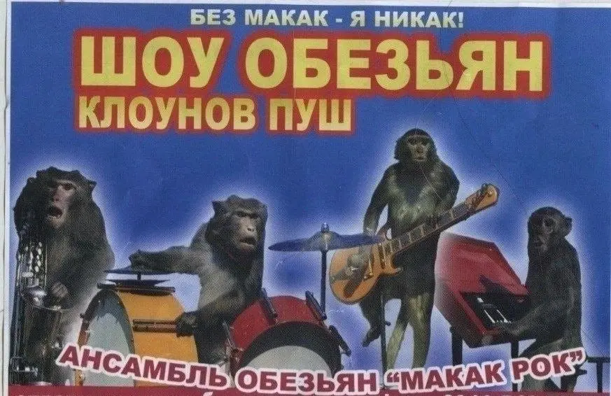 Настроят ClawdBot и любые AI интеграции, недорого. Без макак - я никак. | Сетка — социальная сеть от hh.ru
