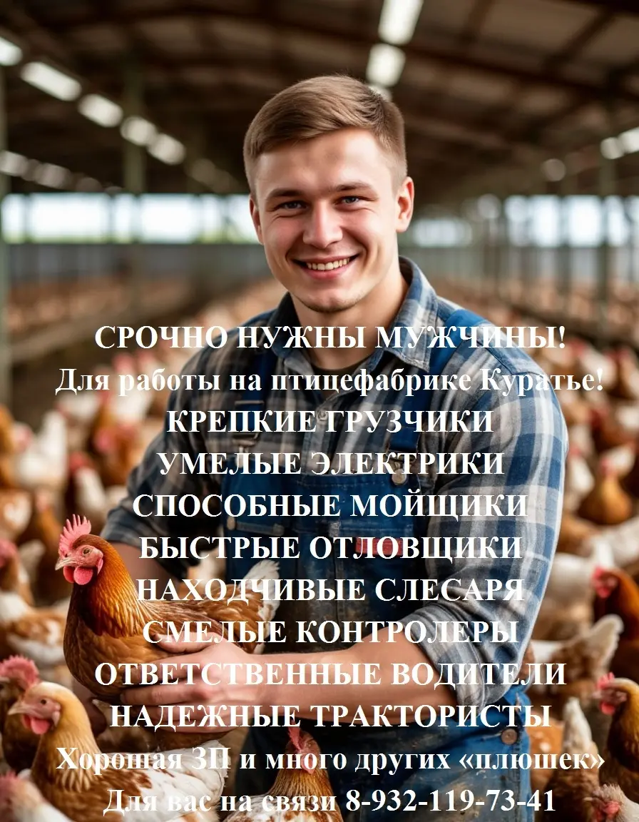 Нужны мужчины для работы на птицефибрике Куратье! | Сетка — социальная сеть от hh.ru
