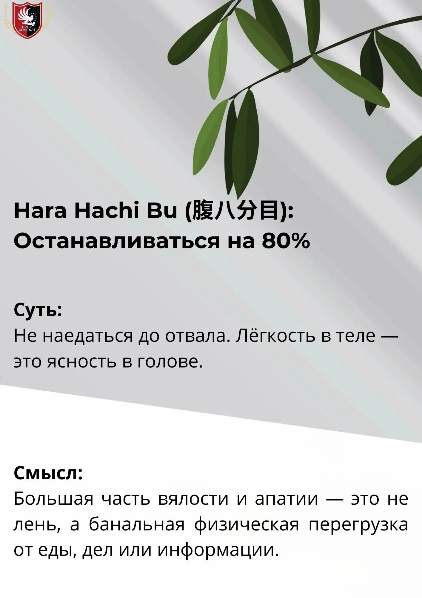 🧩 Японский взгляд на «лень» | Сетка — социальная сеть от hh.ru