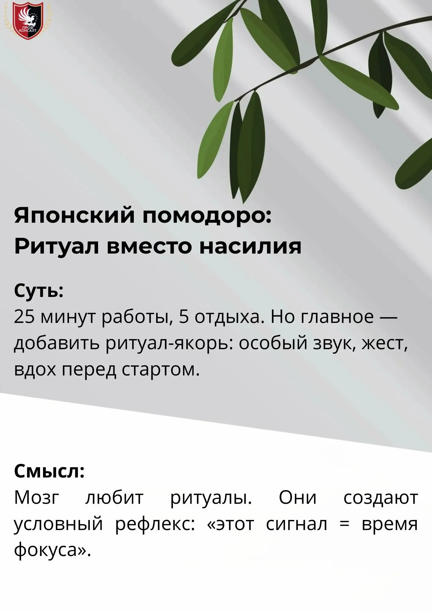 🧩 Японский взгляд на «лень» | Сетка — социальная сеть от hh.ru