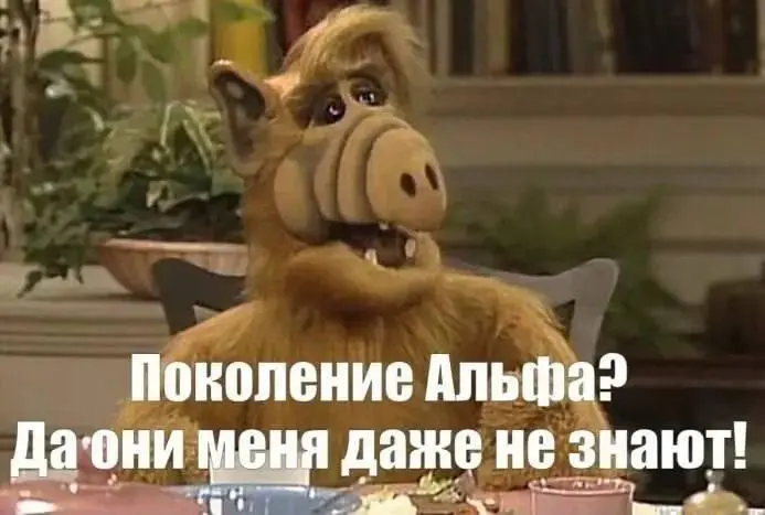Касатики, привет.
Ну что ж, новая регулярная рубрика - мемы. Выходит каждую пятницу с текущего момента. Кидайте свои мемы в чатик, если есть чем поделиться. | Сетка — социальная сеть от hh.ru