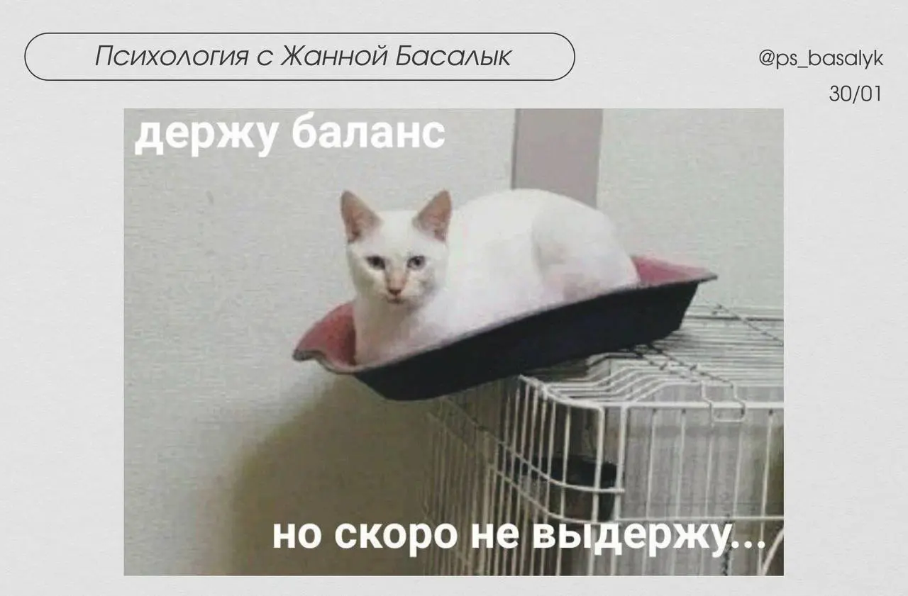 30 января | Сетка — социальная сеть от hh.ru