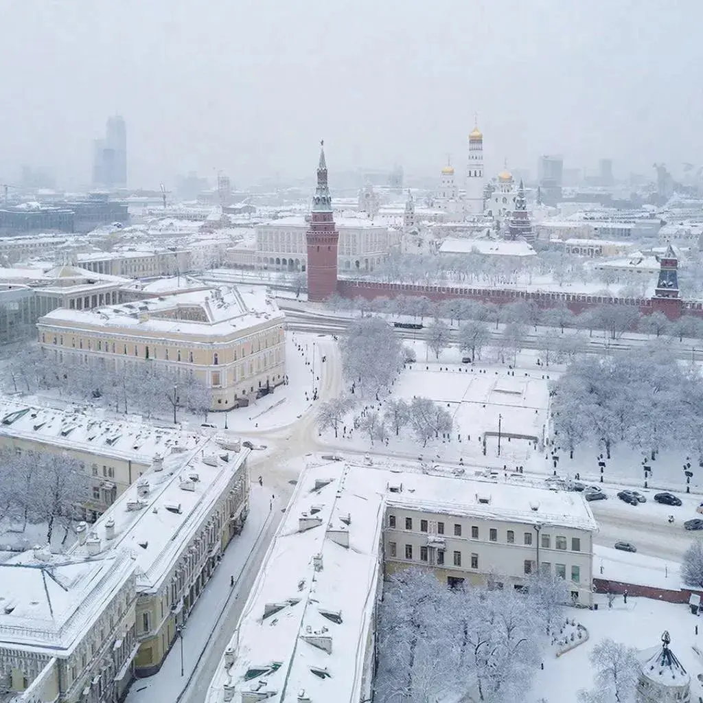 Прогулка в снегопад полезнее так как заставляет мышцы активн | Сетка — социальная сеть от hh.ru