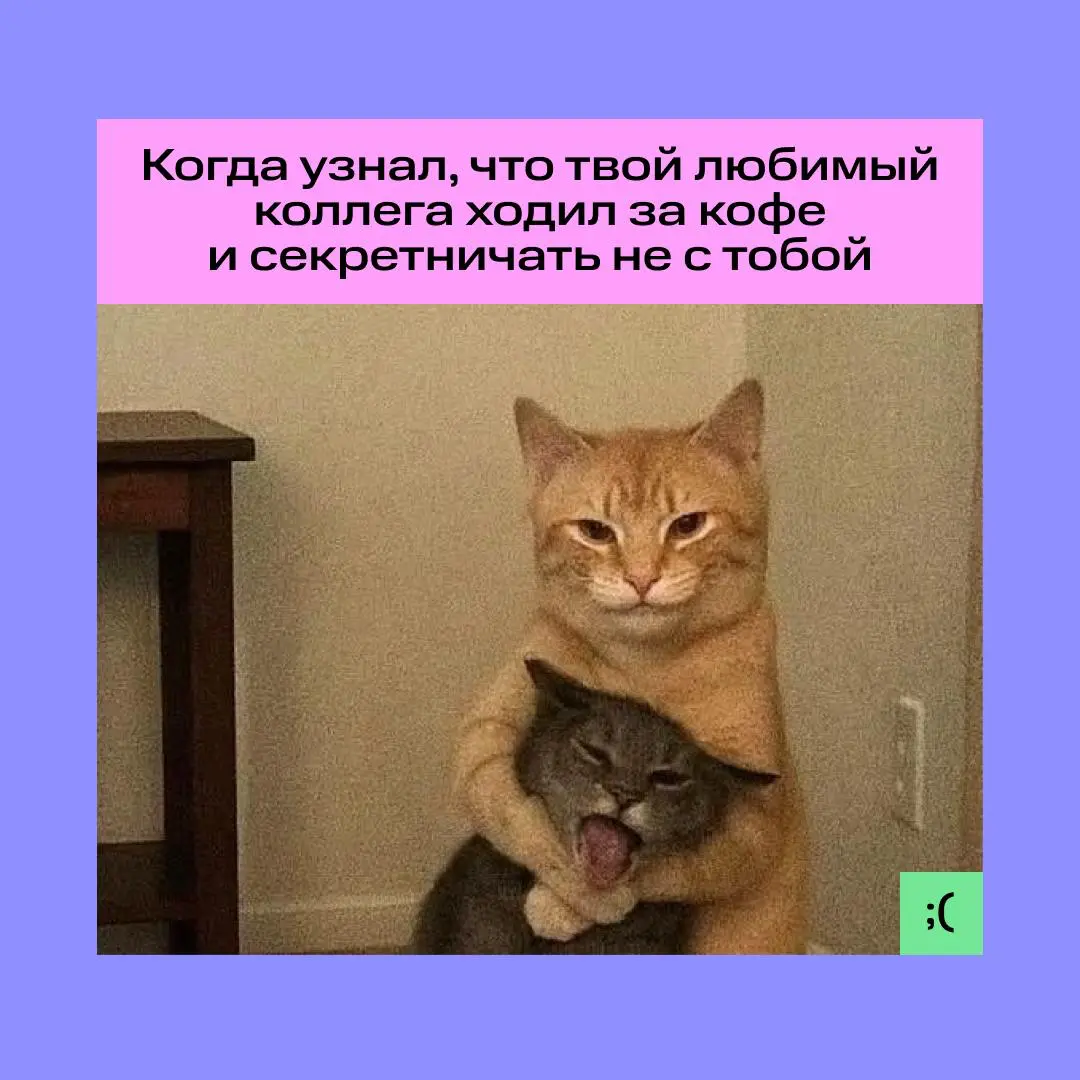 Это — уже ритуал, без которого работа не работается 🧑‍💻 | Сетка — социальная сеть от hh.ru