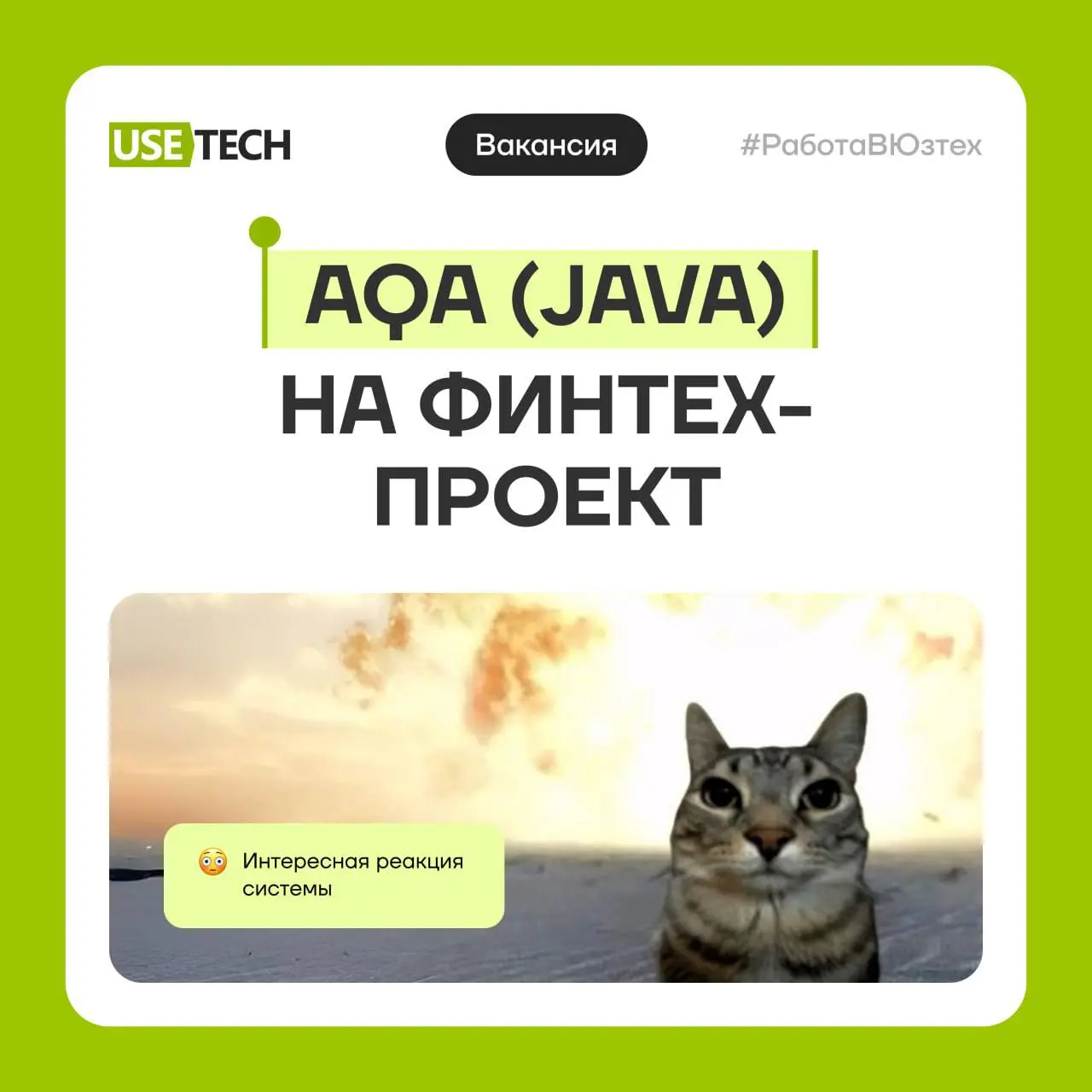 Ищем героя, который сможет протестировать все возможные «реакции» системы и увидеть все пути, которые найдёт пользователь | Сетка — социальная сеть от hh.ru