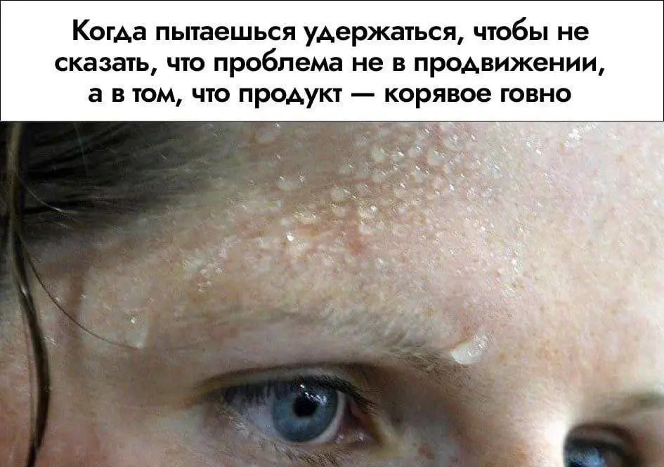Я бы сказал, но у меня дома, котики голодные | Сетка — социальная сеть от hh.ru