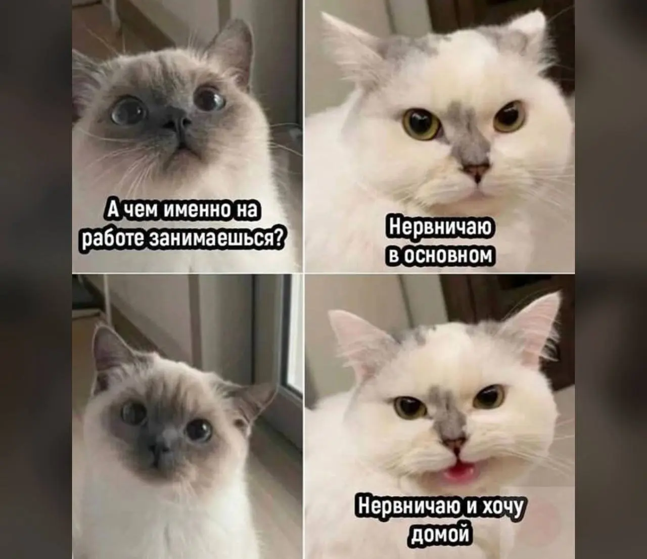 Наконец-то пятница!
Итак, не знаю как у вас, а у меня сил никаких на сегодня креативных нет | Сетка — социальная сеть от hh.ru