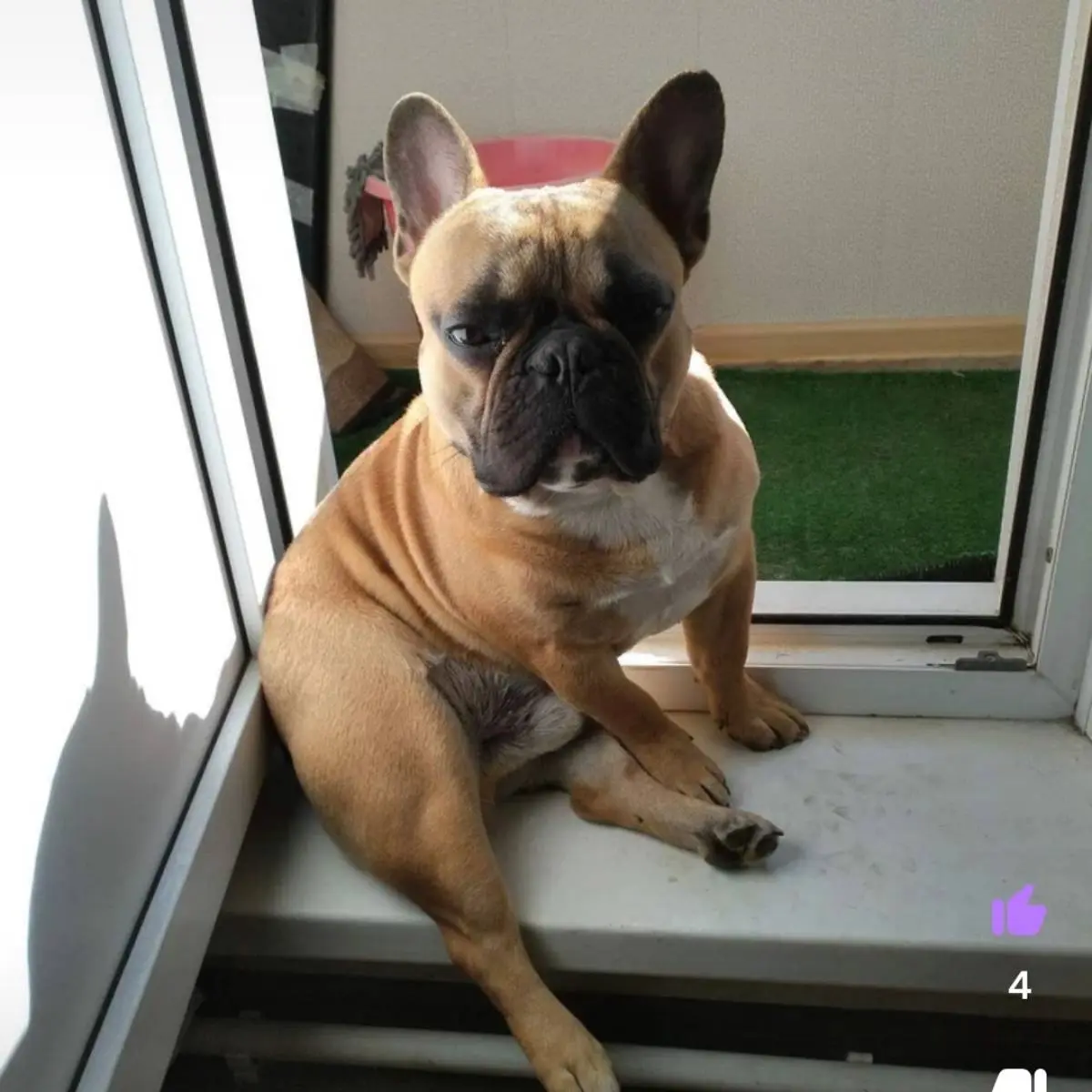 Вадим Леликов