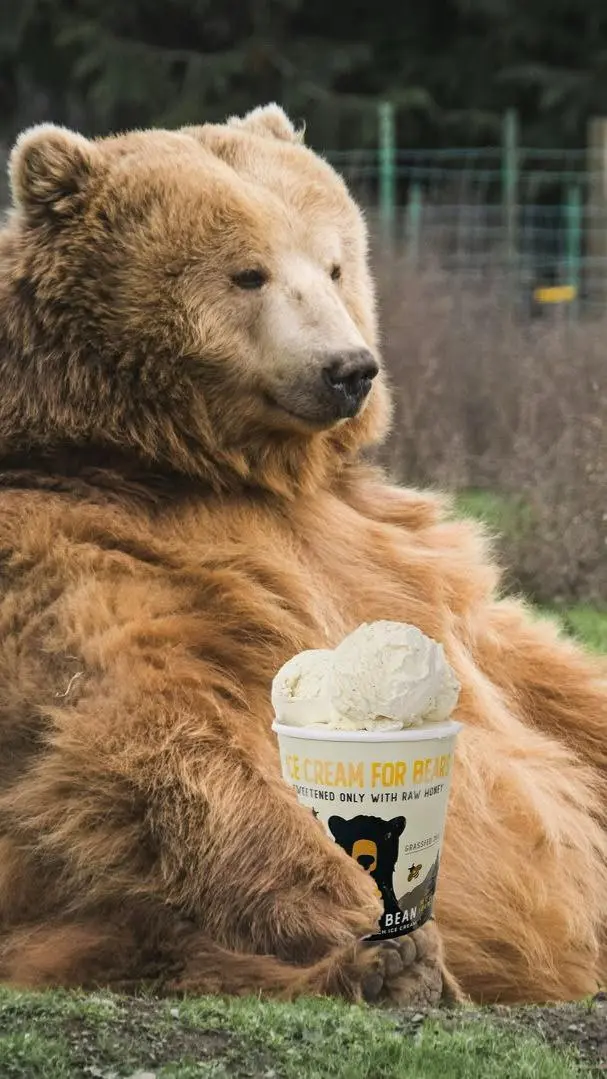 Мороженое для медведей 🍯
Оказывается, и такое бывает! Концепция Ice cream for bears подробно описана прямо на баночке, а если кратко, то это история про натуральные ингредиенты, и, конечно, в качестве... | Сетка — социальная сеть от hh.ru