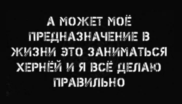В состоянии профессиональной дезориентации 😵‍💫 | Сетка — социальная сеть от hh.ru