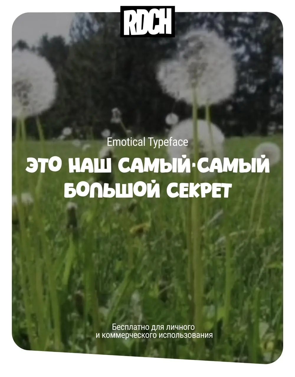 ❤️❤️
Всем хороших выходных!
А мы продолжаем нашу рубрику с подборками бесплатных кириллических шрифтов для твоих проектов 🔥
Что-то у диздира ностальгия в глаз попала, поэтому сегодня ТОП-6 детских шри... | Сетка — социальная сеть от hh.ru
