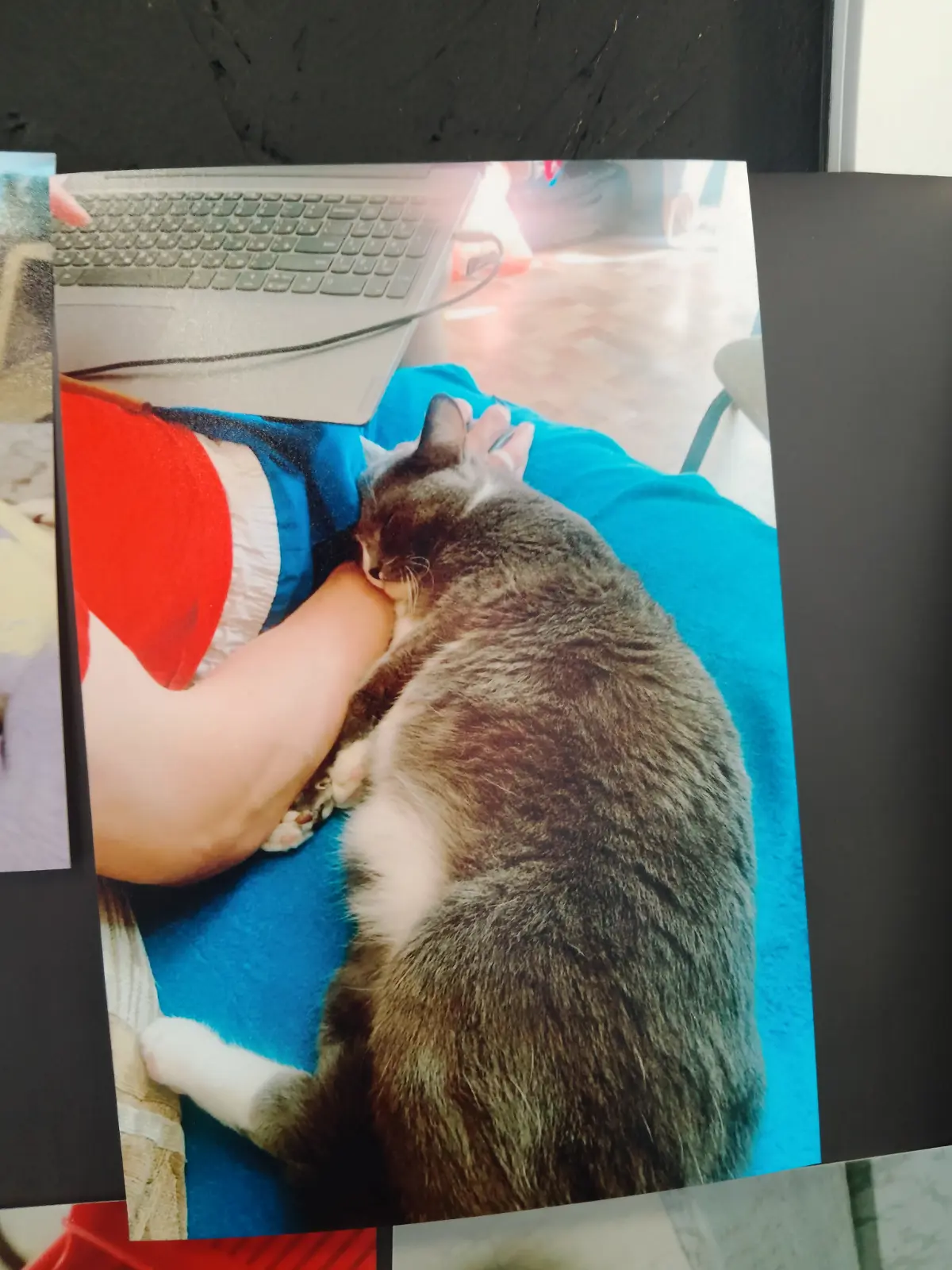 Страх потерять работу как причина терпеть | Сетка — социальная сеть от hh.ru