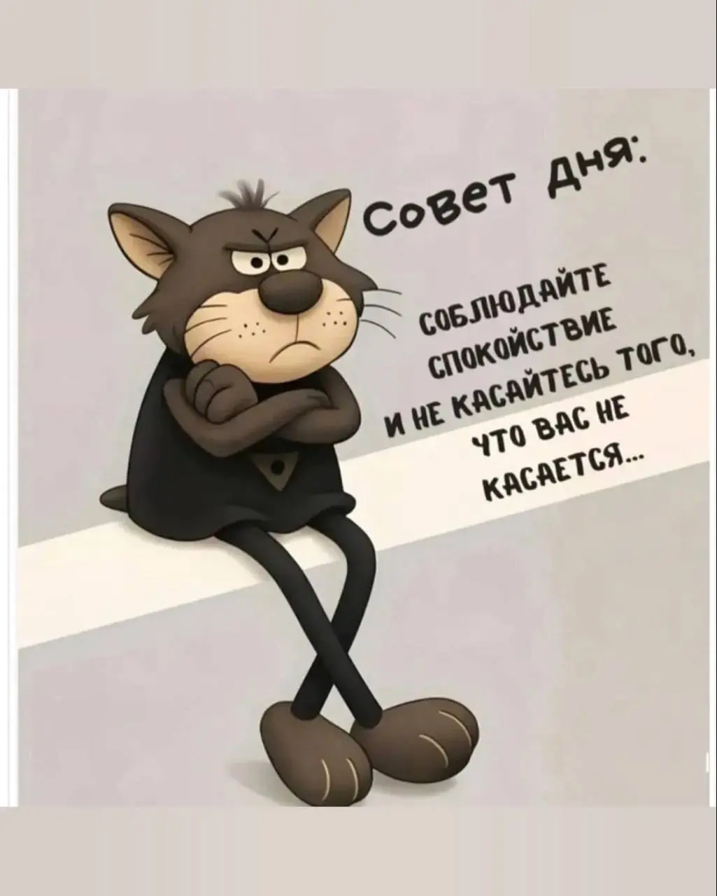 Сетка — социальная сеть от hh.ru