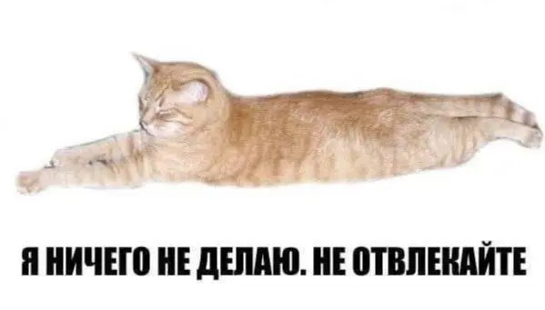 День 152
🔤 занималась французским
🔤 смотрела сериал | Сетка — социальная сеть от hh.ru