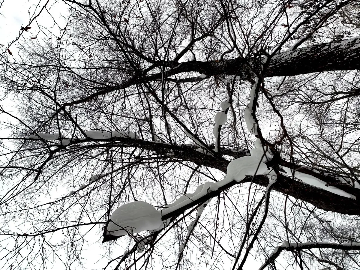 Два семинара- в копилке!
Ждём новую партию коллагена, январь выдался по-настоящему драйвовым.
Вперёд и только вперёд!
#ДрайвовыйЯнварь #Коллаген
#Семинары #LemPro #СнимаемЖизнь
P.S | Сетка — социальная сеть от hh.ru