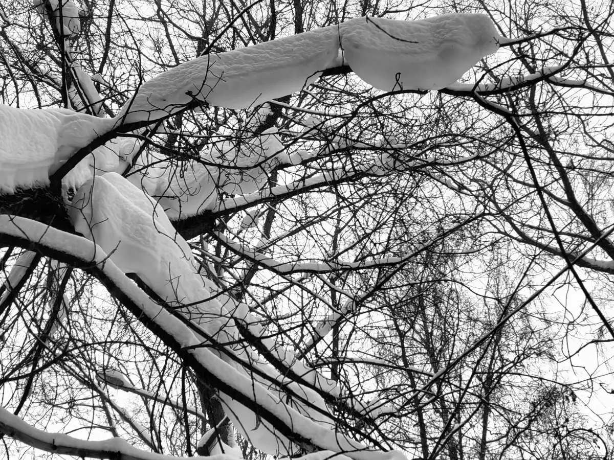 Два семинара- в копилке!
Ждём новую партию коллагена, январь выдался по-настоящему драйвовым.
Вперёд и только вперёд!
#ДрайвовыйЯнварь #Коллаген
#Семинары #LemPro #СнимаемЖизнь
P.S | Сетка — социальная сеть от hh.ru