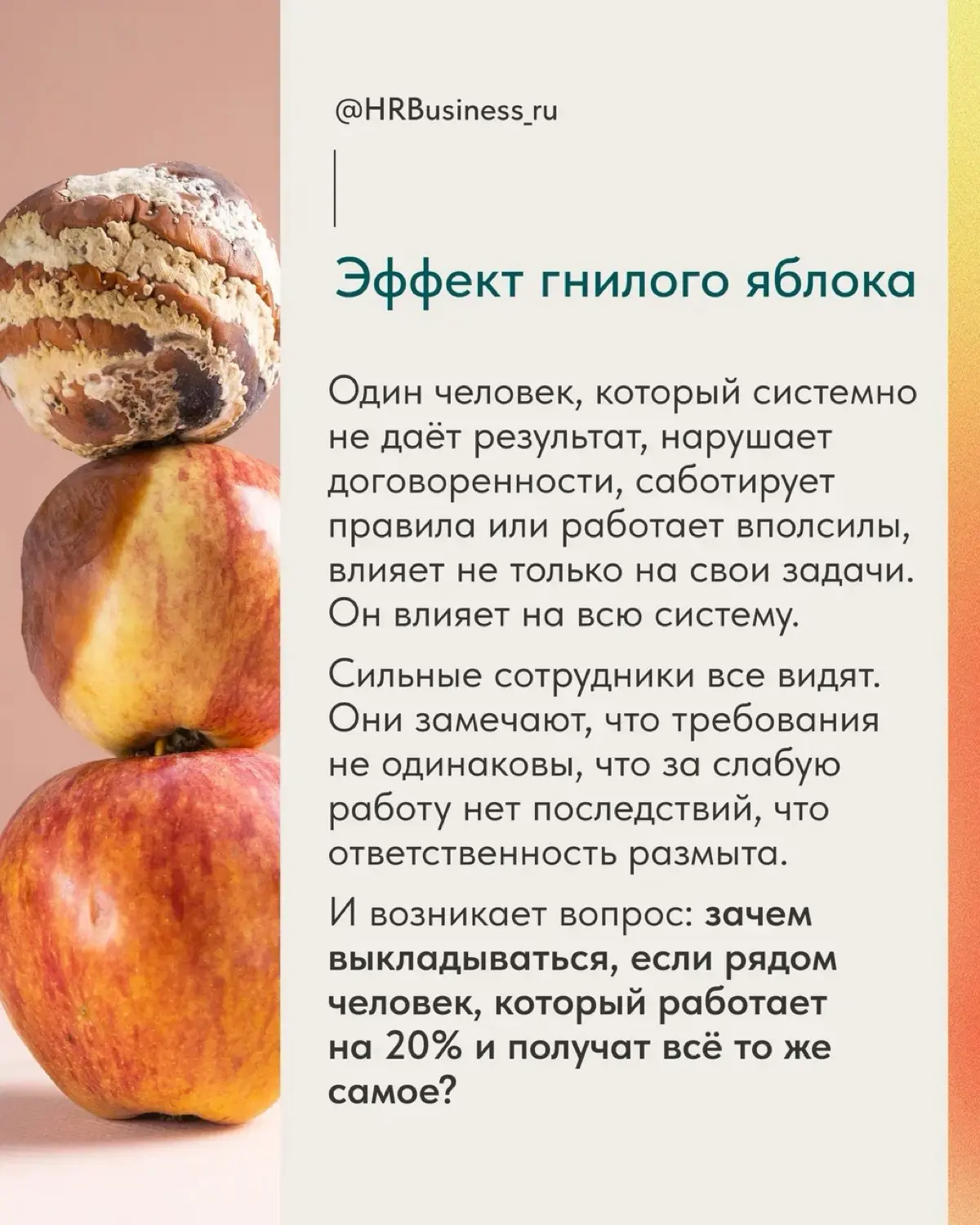 ПОЧЕМУ ПОРОЙ НУЖНО УВОЛИТЬ СОТРУДНИКА, ЧТОБЫ СПАСТИ БИЗНЕС | Сетка — социальная сеть от hh.ru