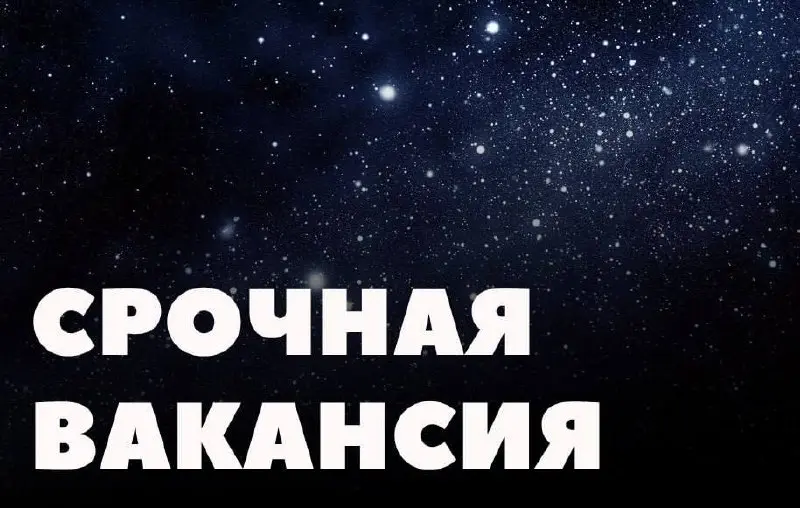 Ассистент в Telegram
Зарплата: 60 000 руб | Сетка — социальная сеть от hh.ru