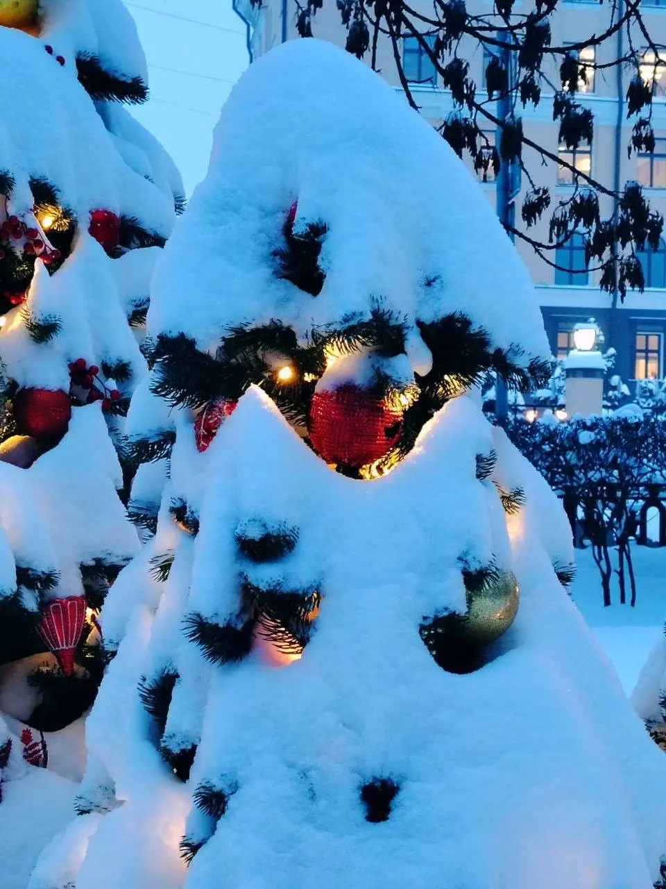 ❄️Снежная сказка на Чистопрудном бульваре
📲Подпишитесь на Вдвижении
#бесплатно
В этом посте были ссылки, но мы их удалили по правилам Сетки | Сетка — социальная сеть от hh.ru