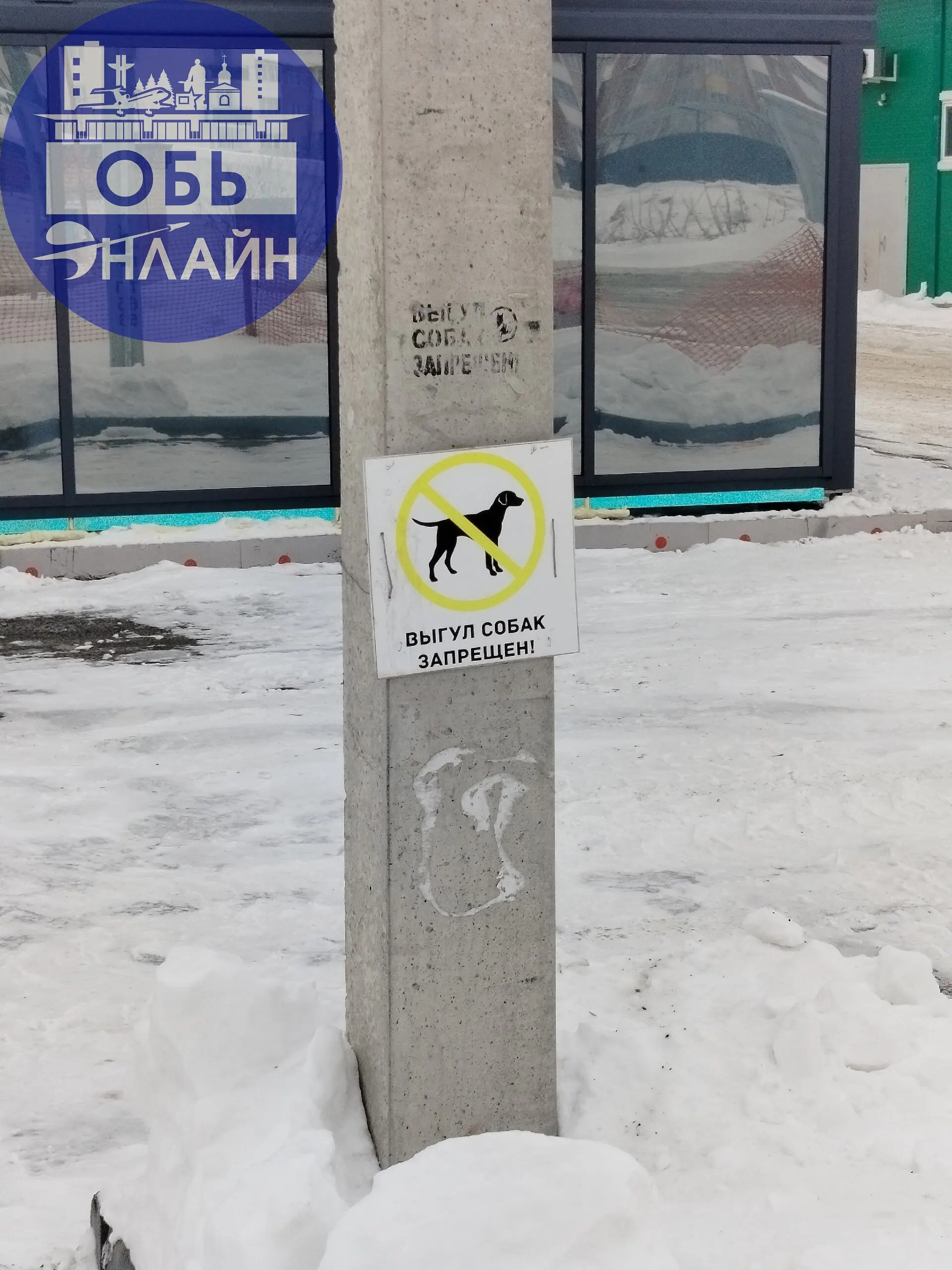 ↗ Обращение к Администрация города Оби от собачника! (Я думаю я не одна держу собаку и привлеку внимание единомышленников, может нам подписи что-ли собрать🤔🤦‍♀️, сгрупироваться) | Сетка — социальная сеть от hh.ru