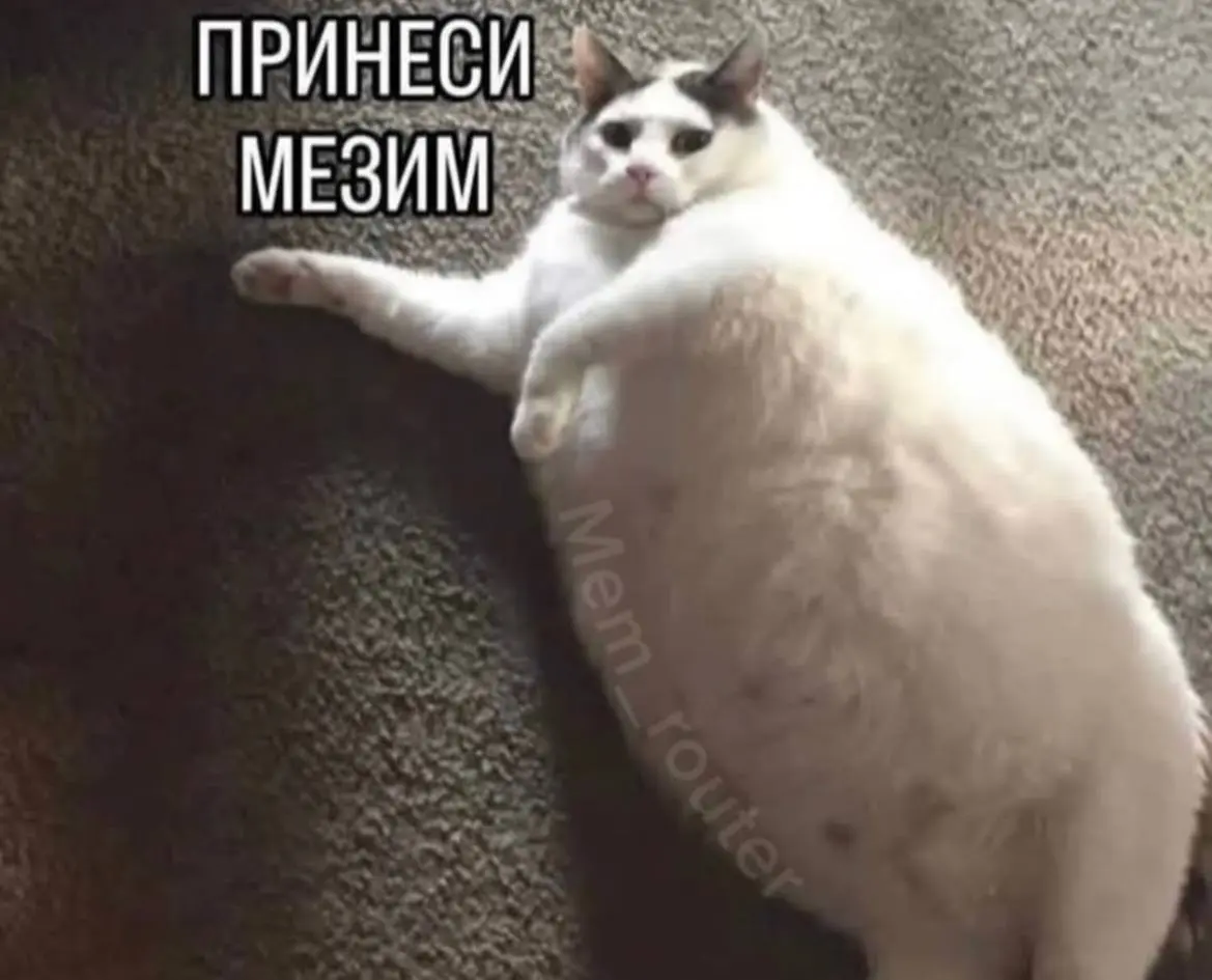 Тот самый момент, когда вчерашнее невкусное блюдо сегодня преображается благодаря яичку | Сетка — социальная сеть от hh.ru