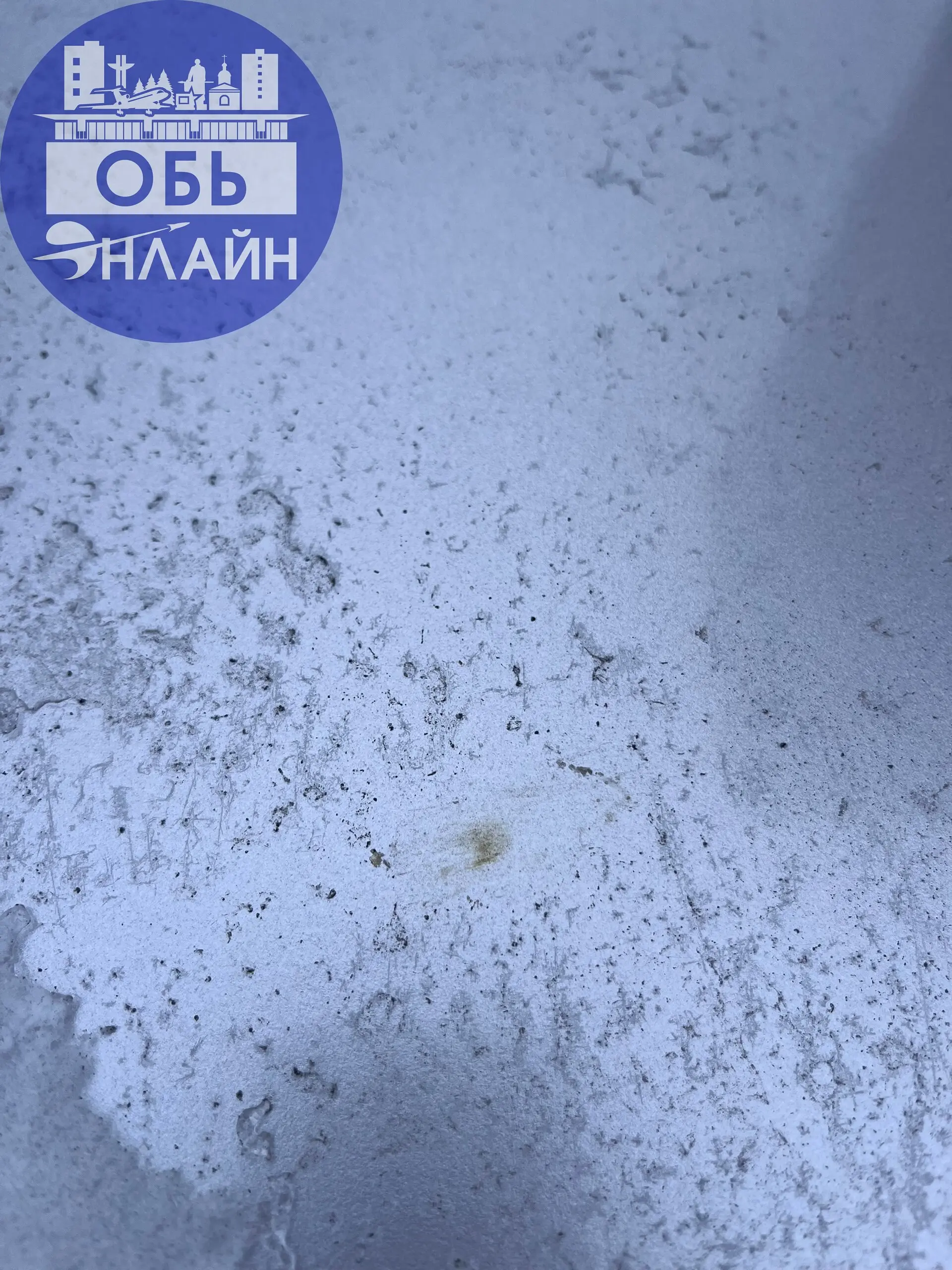 ↗ Уважаемый человек, сегодня в ночь с 31.01 на 01 | Сетка — социальная сеть от hh.ru