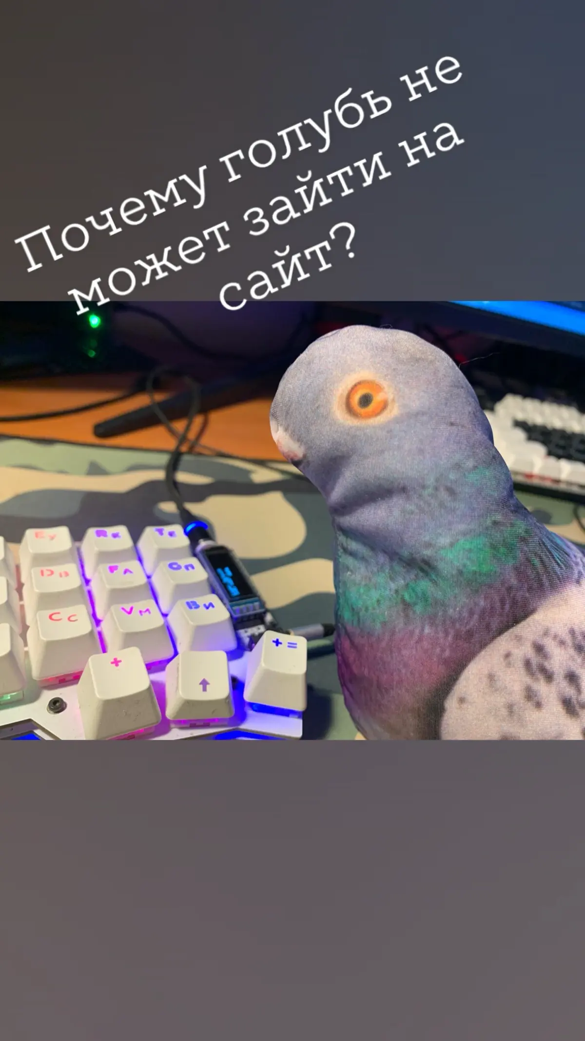 comment image